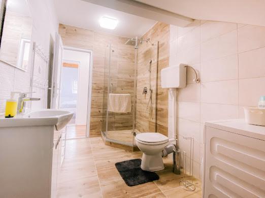 Apartman Aleksandar Lux ปาลิช ภายนอก รูปภาพ