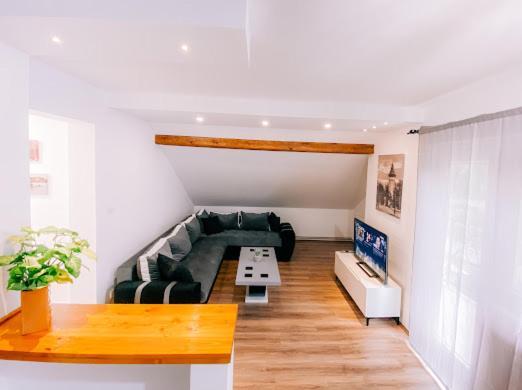 Apartman Aleksandar Lux ปาลิช ภายนอก รูปภาพ