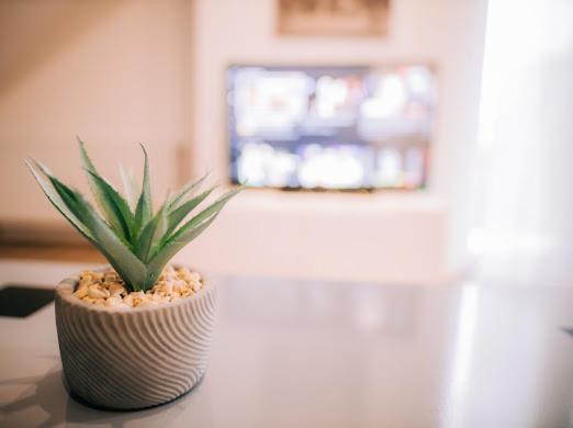 Apartman Aleksandar Lux ปาลิช ภายนอก รูปภาพ