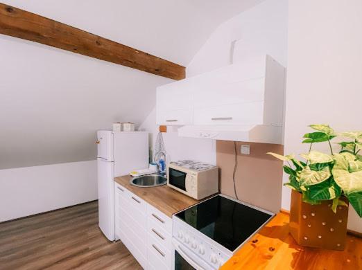 Apartman Aleksandar Lux ปาลิช ภายนอก รูปภาพ